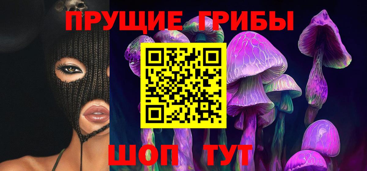 Псилоцибиновые грибы прущие грибы Заводоуковск
