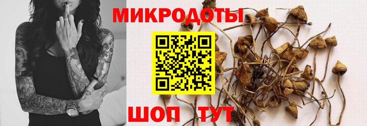 Псилоцибиновые грибы MAGIC MUSHROOMS  Вход с VPN  Заводоуковск 